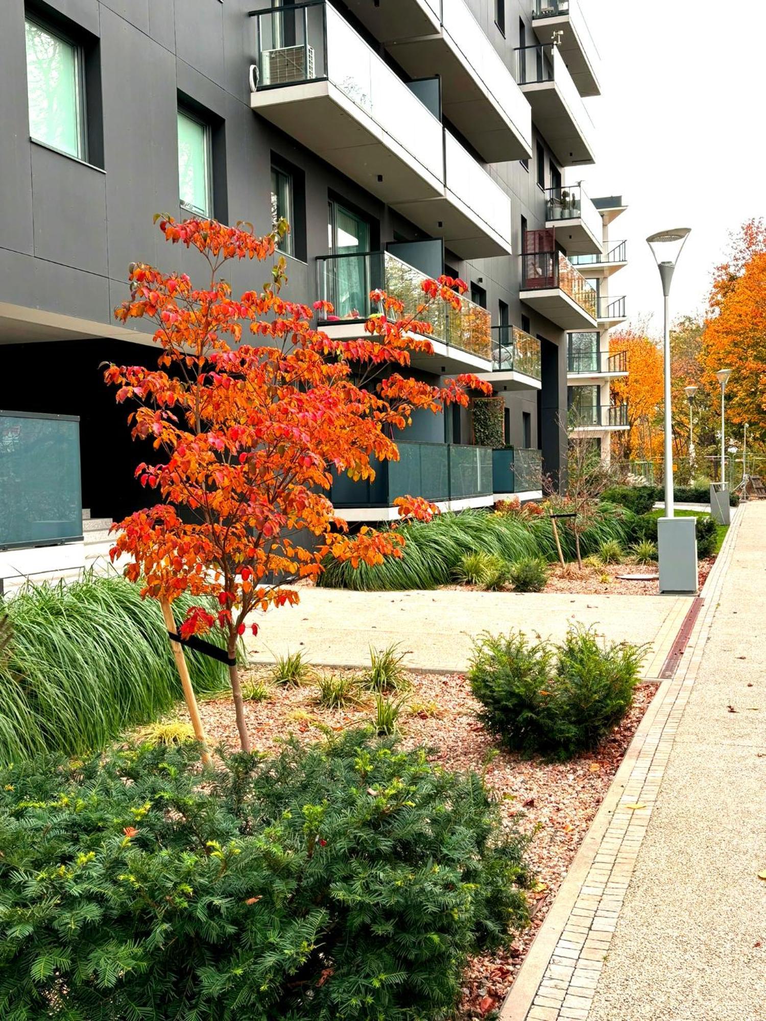 Prime Time Apartament - 24H Check -In - Parking W Cenie Wroclaw Dış mekan fotoğraf